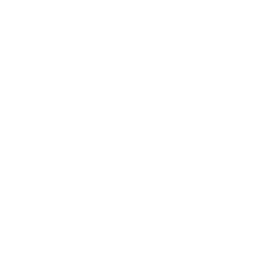Company icon